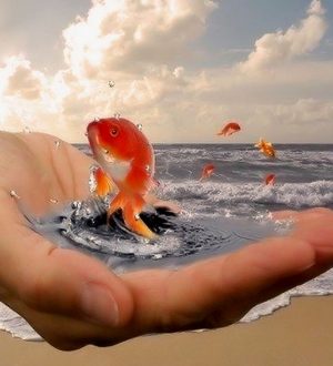 Лови судьбу. Статья 1 (к сеансу 11.04.2019)