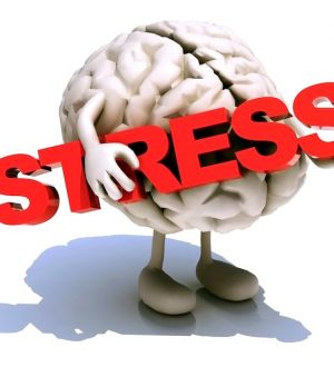 Стресс, и с чем его едят (к сеансу 16.05.2019)