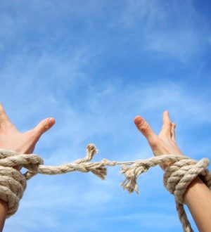 Благодарная воля (к сеансу №119 18.06.2020)