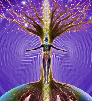 Законы отражения и уравновешивания. Часть 2 (к сеансу №126 14.01.21)