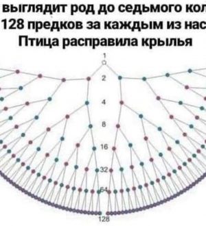 Чудеса энергообмена <br>(к сеансу N 139 от 17.03.22)