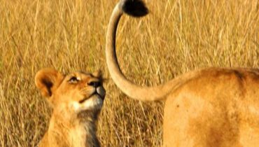 Природа квантовости. Линзы времени <br>(к семинару №151 от 13.04.2023)